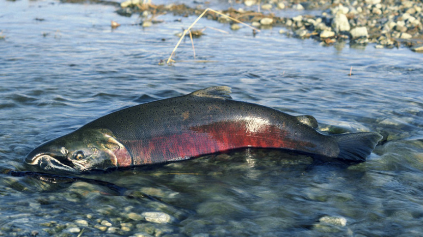 Das kann doch einen Angler nicht erschüttern