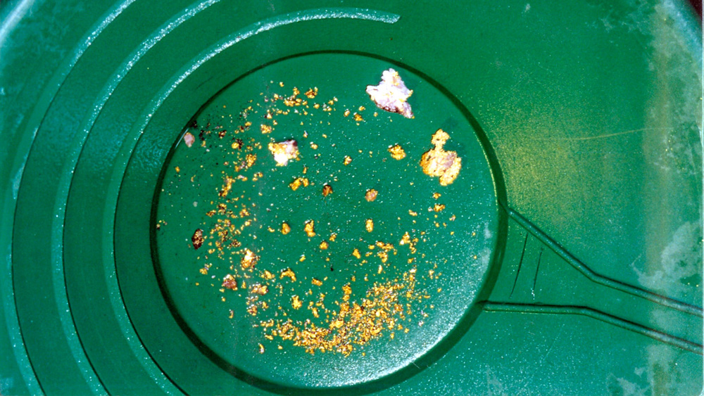 Gold Panning in Alaska.